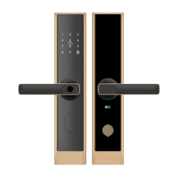 Fingerprint Smart Door Lock, with  standard lock body  (gold)