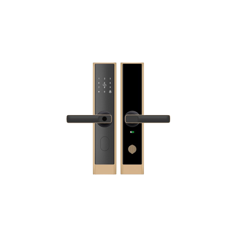 Fingerprint Smart Door Lock, with  standard lock body  (gold)