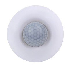 Surface Mount PIR & Lux Sensor