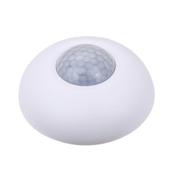 Surface Mount PIR & Lux Sensor